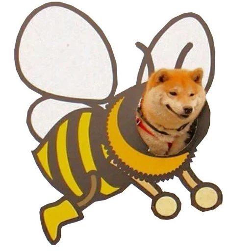 🐶 Стикер «Doge» для Telegram