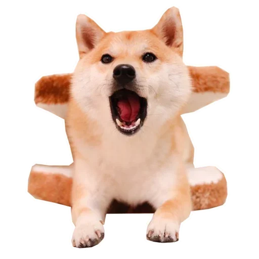 🐶 Стикер «Doge» для Telegram