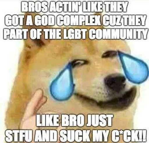 🏳️‍🌈 Стикер «Doge Edits 3» для Telegram