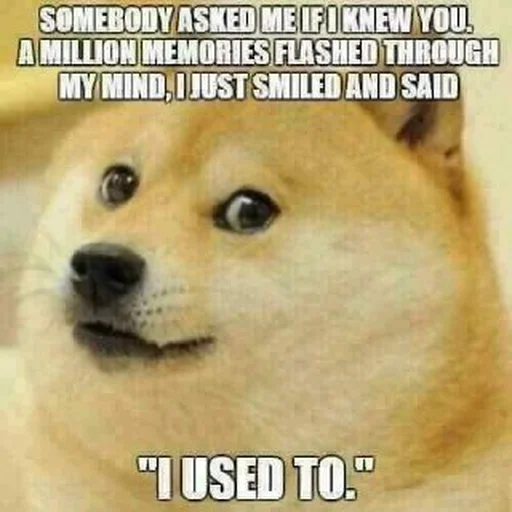 ☹️ Стикер «Doge Edits 3» для Telegram