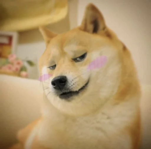 😊 Стикер «Doge Edits 3» для Telegram