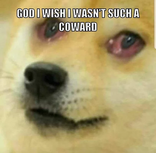 😰 Стикер «Doge Edits 3» для Telegram