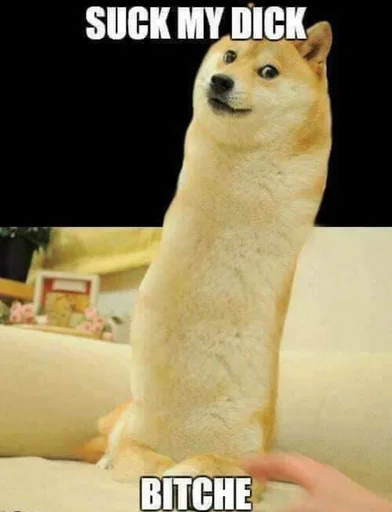 🍆 Стикер «Doge Edits 3» для Telegram