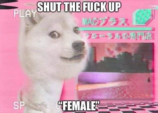 😶 Стикер «Doge Edits 3» для Telegram