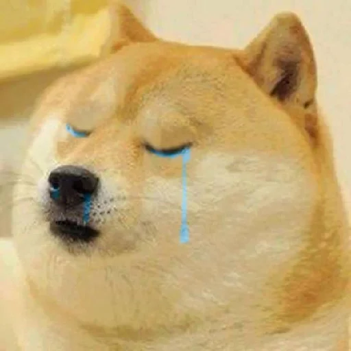 😢 Стикер «Dogetard Pack» для Telegram