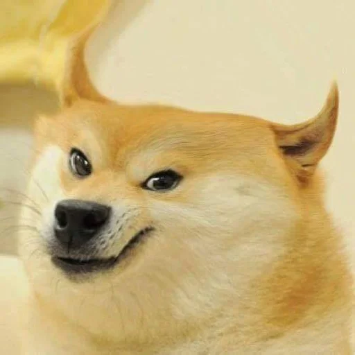 😈 Стикер «Dogetard Pack» для Telegram