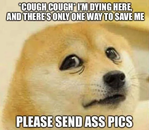 😷 Стикер «Dogetard Pack» для Telegram