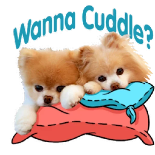 🤬 Стикер «Dogs Friends» для Telegram