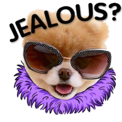 😰 Стикер «Dogs Friends» для Telegram