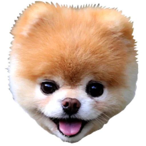 Стикерпак Dogs Friends для Telegram