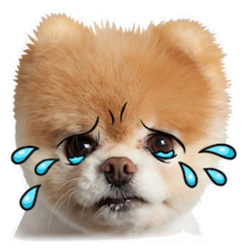 😔 Стикер «Dogs Friends» для Telegram