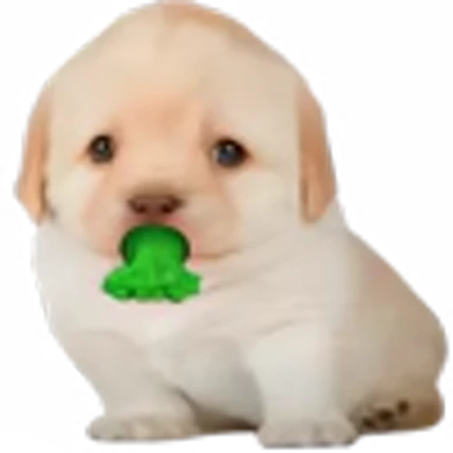 🤢 Эмодзи «doggies» для Telegram