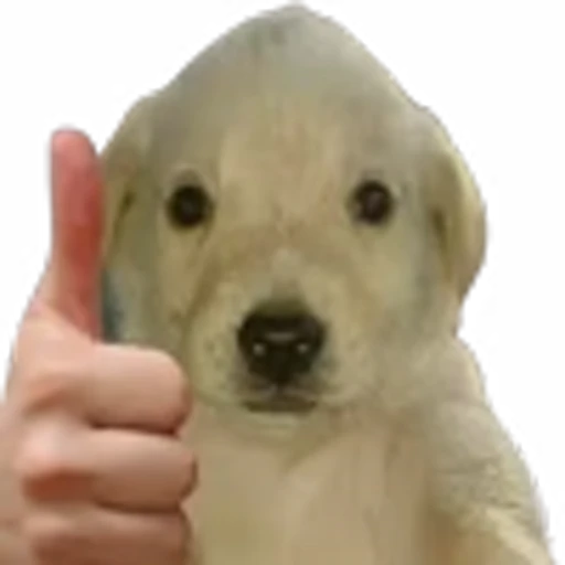 👍 Эмодзи «doggies» для Telegram