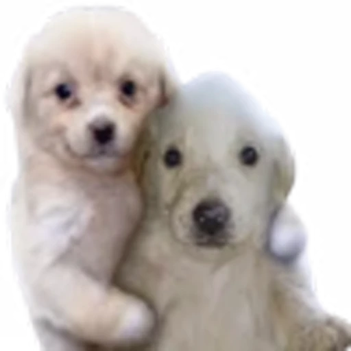 🥰 Эмодзи «doggies» для Telegram