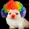 🥴 Эмодзи «doggies» для Telegram