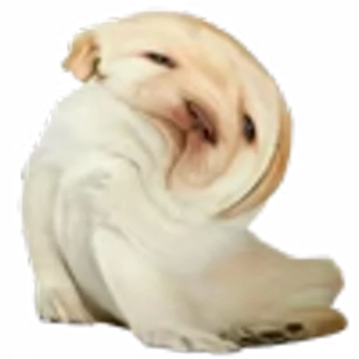😜 Эмодзи «doggies» для Telegram