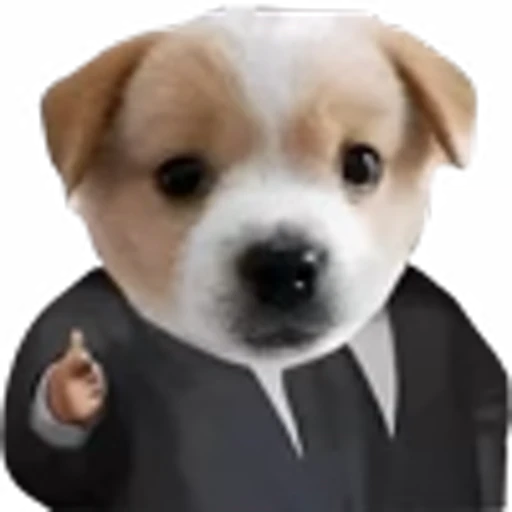 🤑 Эмодзи «doggies» для Telegram
