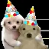 🥳 Эмодзи «doggies» для Telegram