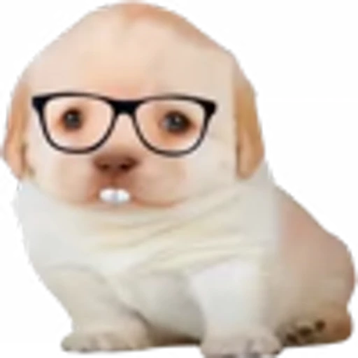 🤓 Эмодзи «doggies» для Telegram