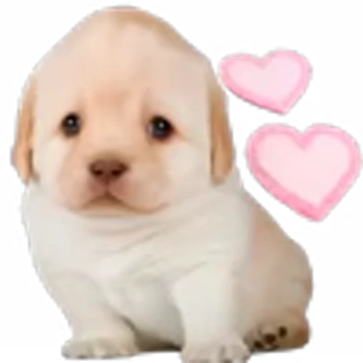 🥰 Эмодзи «doggies» для Telegram