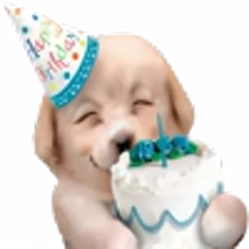 🥳 Эмодзи «doggies» для Telegram