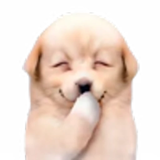 ☺️ Эмодзи «doggies» для Telegram
