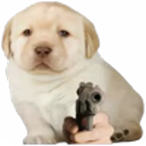☠️ Эмодзи «doggies» для Telegram