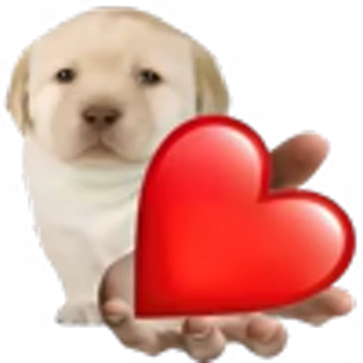 ❤️ Эмодзи «doggies» для Telegram