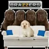 🍩 Эмодзи «doggies» для Telegram