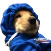 😢 Эмодзи «Doggy» для Telegram
