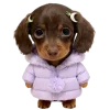 😗 Эмодзи «Doggy» для Telegram