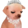 🧐 Эмодзи «Doggy» для Telegram