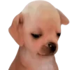 😔 Эмодзи «Doggy» для Telegram