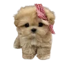 ☺️ Эмодзи «Doggy» для Telegram