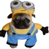☺️ Эмодзи «Doggy» для Telegram