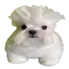 😏 Эмодзи «Doggy» для Telegram