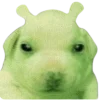 🤢 Эмодзи «Doggy» для Telegram