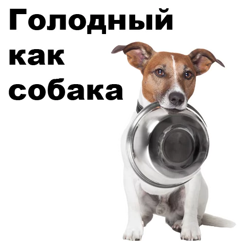 🐶 Стикер «Псы» для Telegram