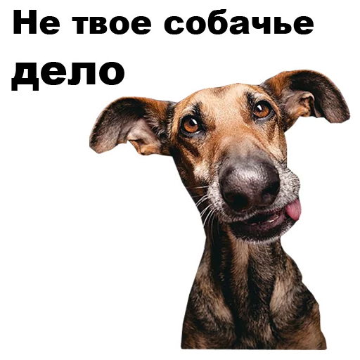 😒 Стикер «Псы» для Telegram