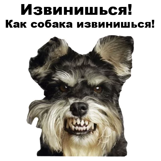 😠 Стикер «Псы» для Telegram