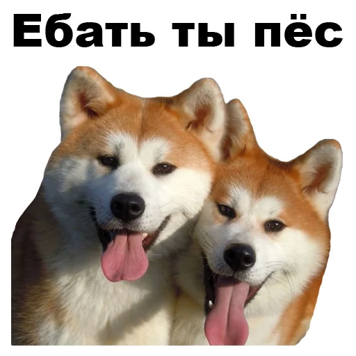 😒 Стикер «Псы» для Telegram
