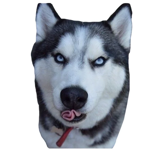 😠 Стикер «Псы» для Telegram