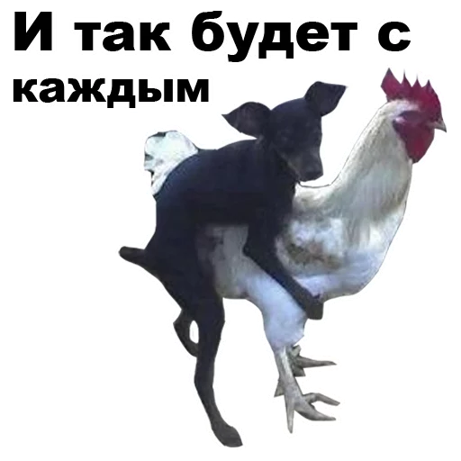 🐓 Стикер «Псы» для Telegram