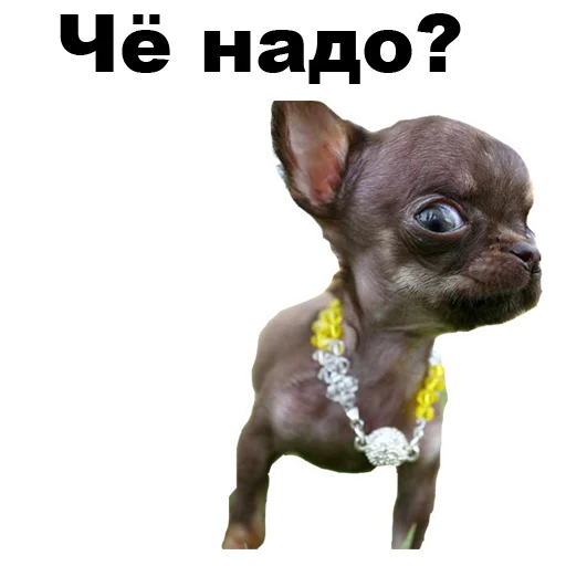 😠 Стикер «Псы» для Telegram
