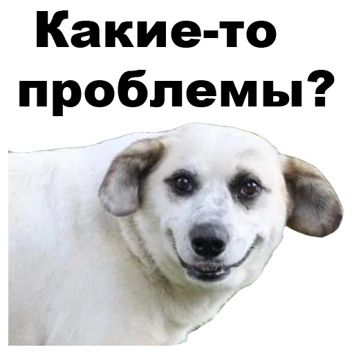 😤 Стикер «Псы» для Telegram