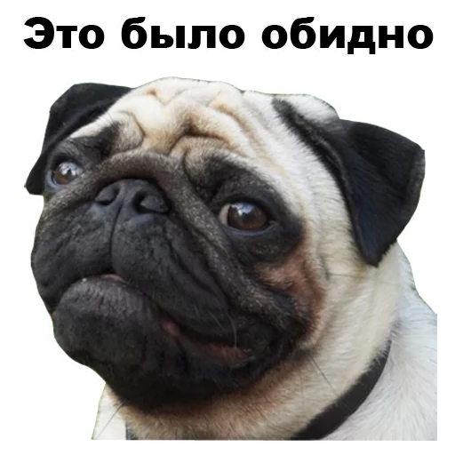 😥 Стикер «Псы» для Telegram
