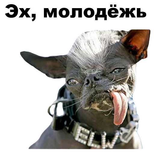 🙁 Стикер «Псы» для Telegram