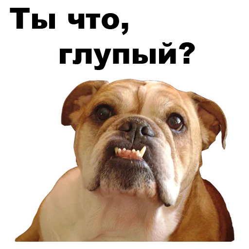 😐 Стикер «Псы» для Telegram