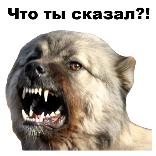 😡 Стикер «Псы» для Telegram