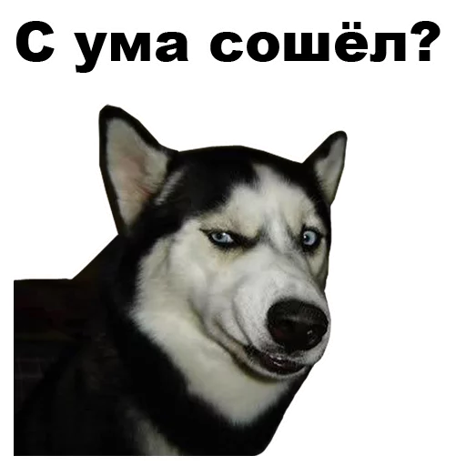 😒 Стикер «Псы» для Telegram